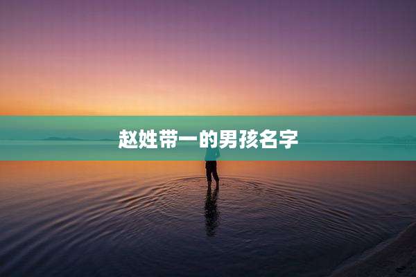 赵姓带一的男孩名字