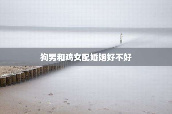 狗男和鸡女配婚姻好不好