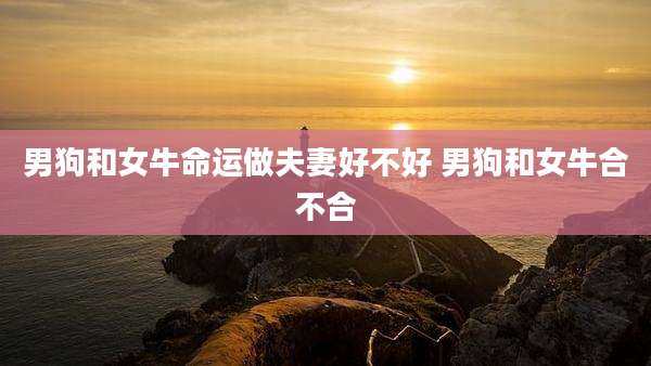 男狗和女牛命运做夫妻好不好 男狗和女牛合不合