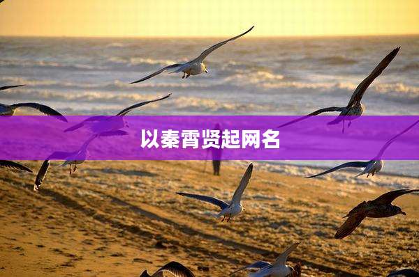 以秦霄贤起网名