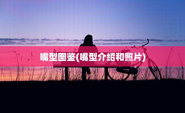 嘴型图鉴(嘴型介绍和照片)
