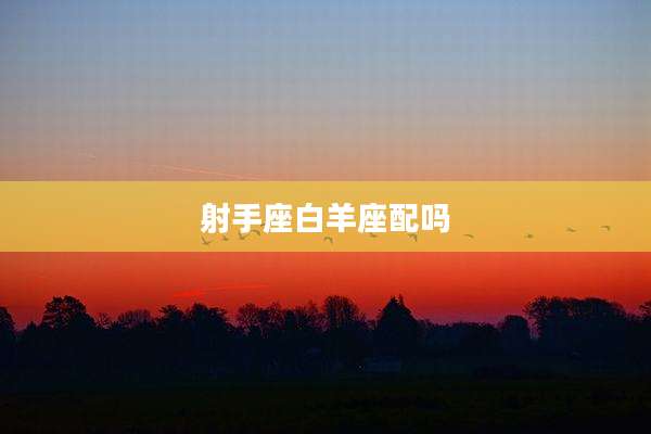 射手座白羊座配吗