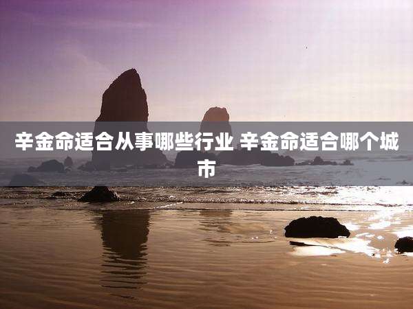 辛金命适合从事哪些行业 辛金命适合哪个城市