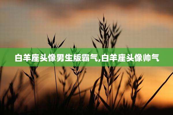 白羊座头像男生版霸气,白羊座头像帅气