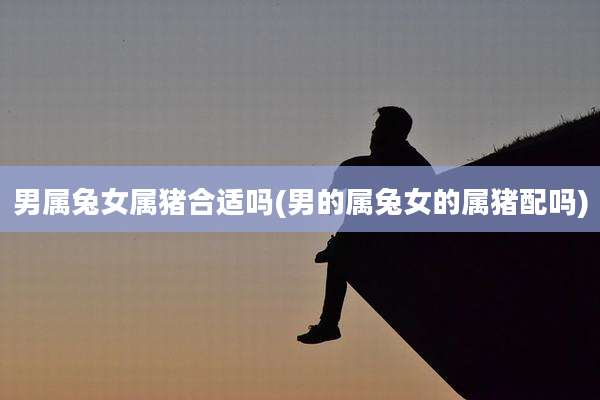男属兔女属猪合适吗(男的属兔女的属猪配吗)