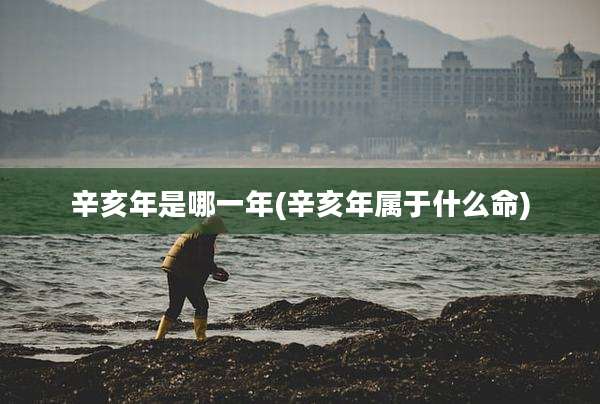 辛亥年是哪一年(辛亥年属于什么命)