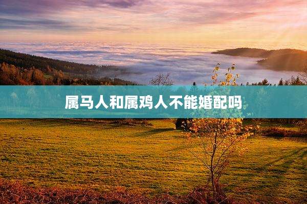 属马人和属鸡人不能婚配吗