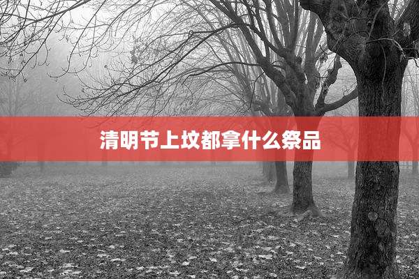 清明节上坟都拿什么祭品