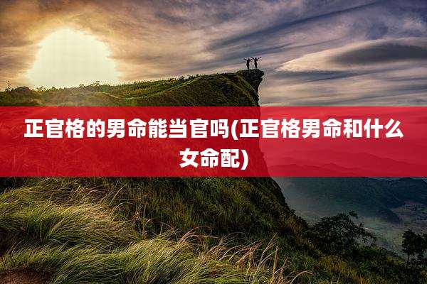 正官格的男命能当官吗(正官格男命和什么女命配)
