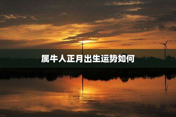 属牛人正月出生运势如何