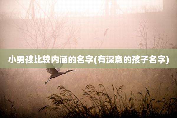 小男孩比较内涵的名字(有深意的孩子名字)