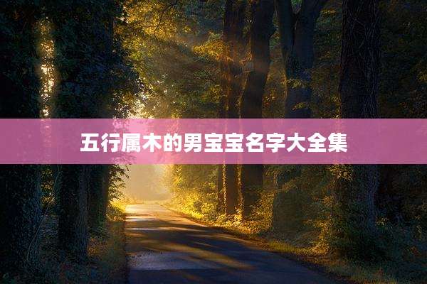 五行属木的男宝宝名字大全集