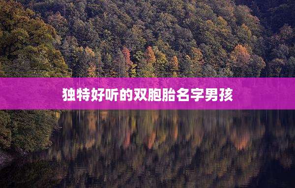 独特好听的双胞胎名字男孩