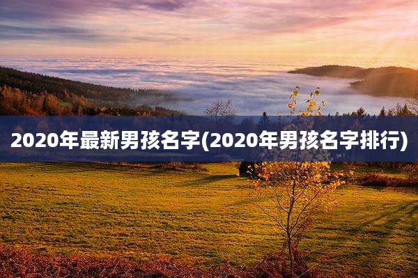 2020年最新男孩名字(2020年男孩名字排行)