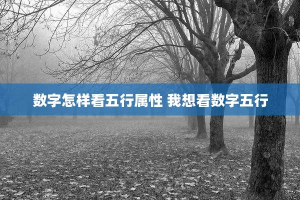 数字怎样看五行属性 我想看数字五行