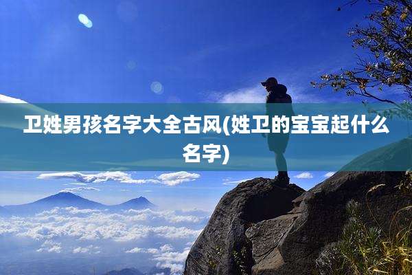 卫姓男孩名字大全古风(姓卫的宝宝起什么名字)
