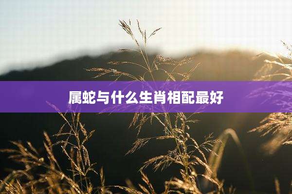 属蛇与什么生肖相配最好