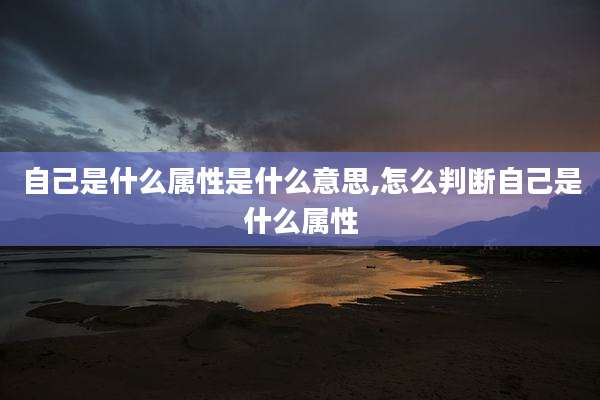 自己是什么属性是什么意思,怎么判断自己是什么属性