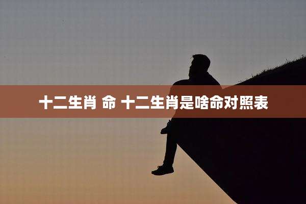 十二生肖 命 十二生肖是啥命对照表