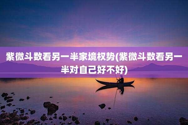 紫微斗数看另一半家境权势(紫微斗数看另一半对自己好不好)