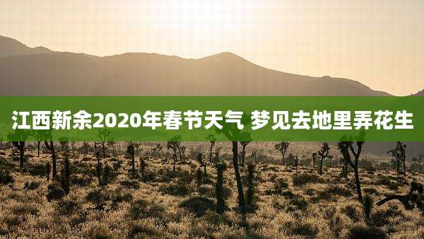 江西新余2020年春节天气 梦见去地里弄花生
