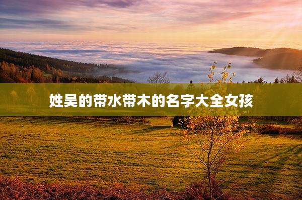 姓吴的带水带木的名字大全女孩