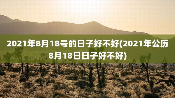2021年8月18号的日子好不好(2021年公历8月18日日子好不好)