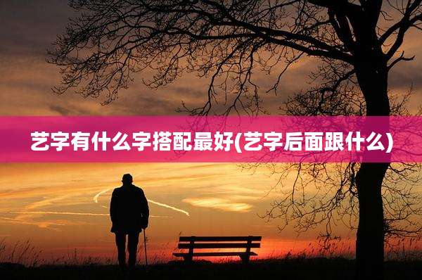 艺字有什么字搭配最好(艺字后面跟什么)