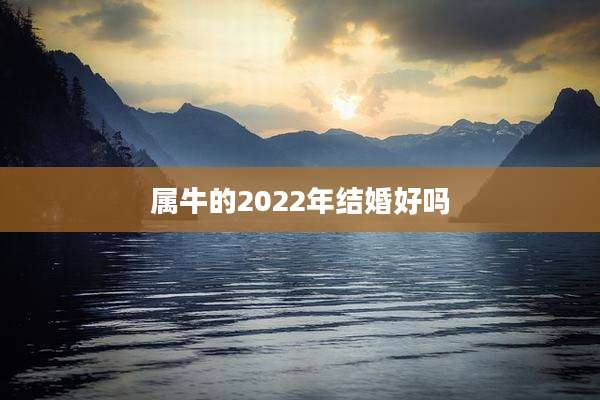 属牛的2022年结婚好吗