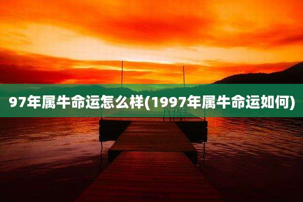 97年属牛命运怎么样(1997年属牛命运如何)