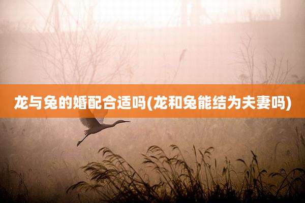 龙与兔的婚配合适吗(龙和兔能结为夫妻吗)