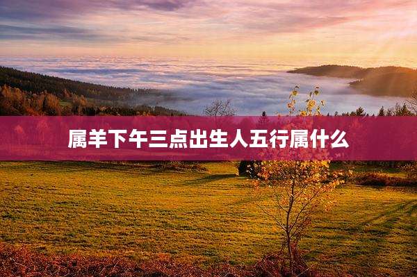 属羊下午三点出生人五行属什么