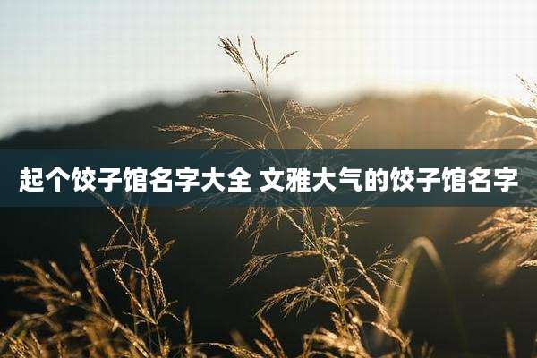 起个饺子馆名字大全 文雅大气的饺子馆名字