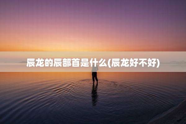 辰龙的辰部首是什么(辰龙好不好)