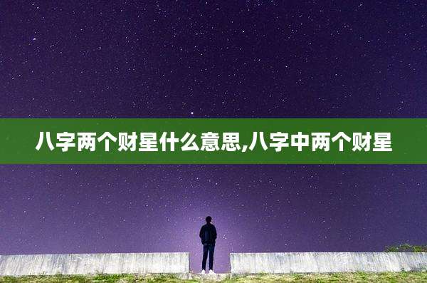 八字两个财星什么意思,八字中两个财星