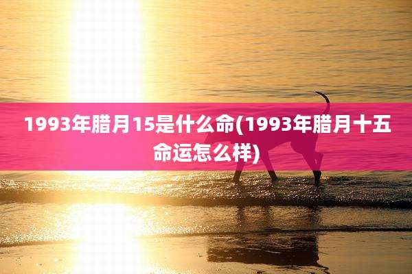 1993年腊月15是什么命(1993年腊月十五命运怎么样)