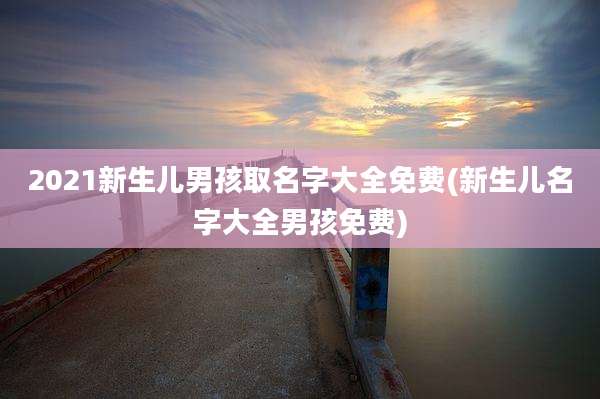 2021新生儿男孩取名字大全免费(新生儿名字大全男孩免费)
