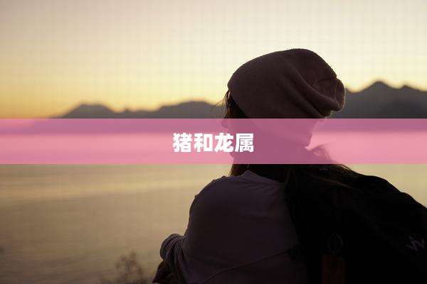 猪和龙属