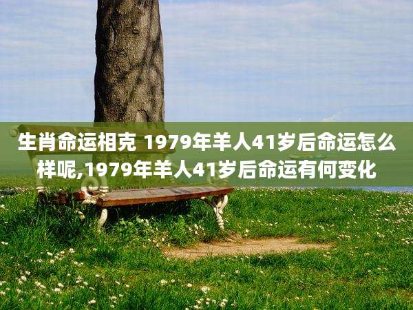 生肖命运相克 1979年羊人41岁后命运怎么样呢,1979年羊人41岁后命运有何变化