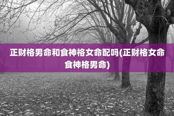正财格男命和食神格女命配吗(正财格女命食神格男命)