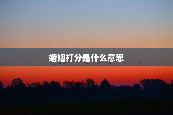 婚姻打分是什么意思