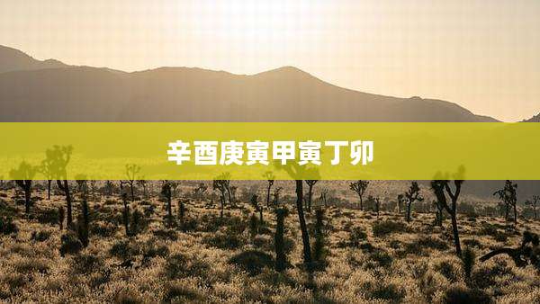 辛酉庚寅甲寅丁卯