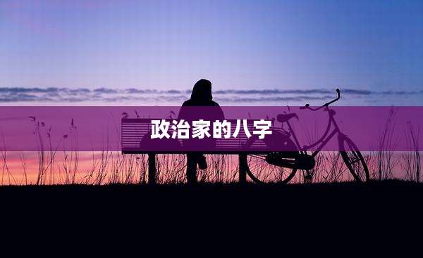 政治家的八字