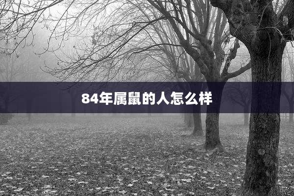 84年属鼠的人怎么样