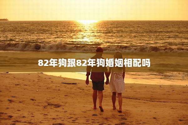 82年狗跟82年狗婚姻相配吗