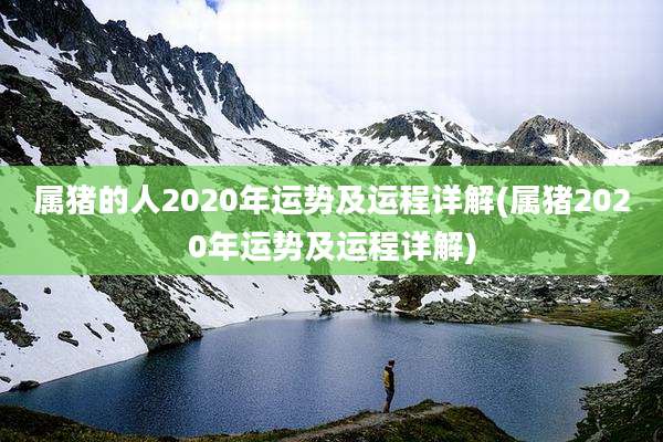 属猪的人2020年运势及运程详解(属猪2020年运势及运程详解)