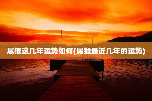 属猴这几年运势如何(属猴最近几年的运势)
