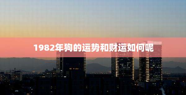 1982年狗的运势和财运如何呢