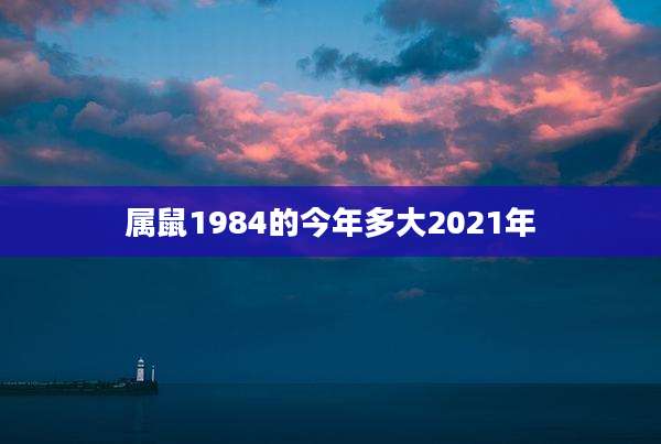 属鼠1984的今年多大2021年