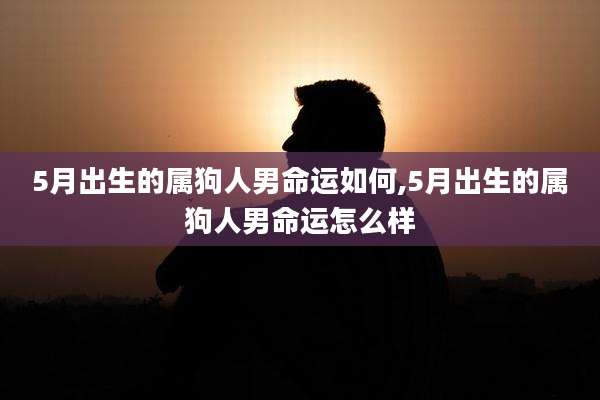 5月出生的属狗人男命运如何,5月出生的属狗人男命运怎么样